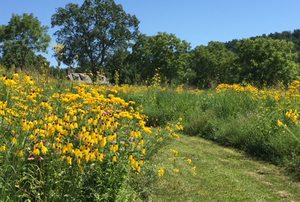 Abeel House Prairie